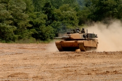 85_DSC4530-M1A1-H